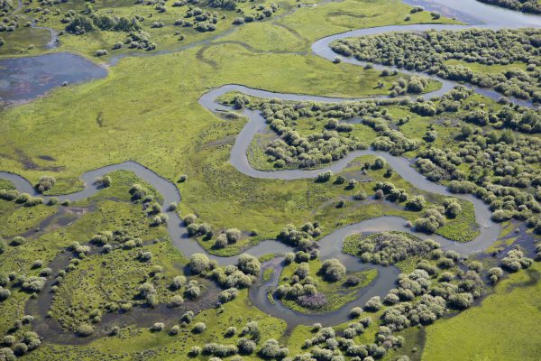 Friends of the Teton River