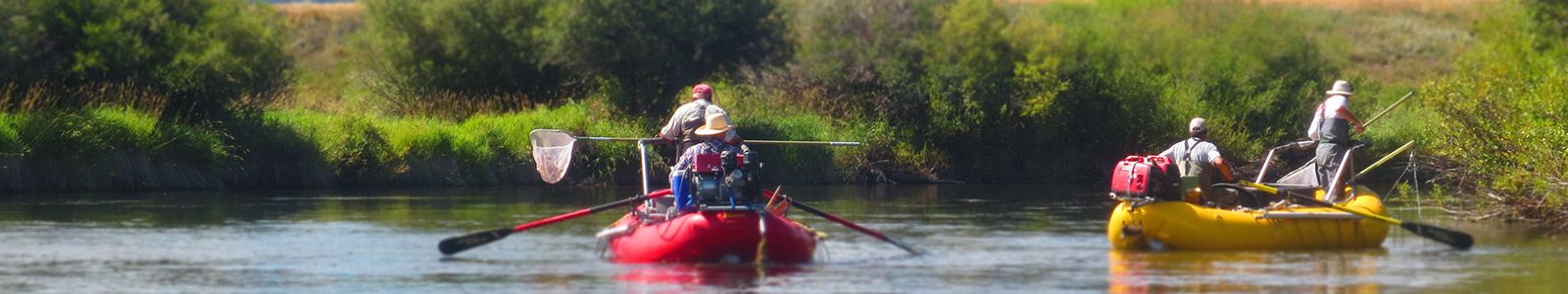 watershed research