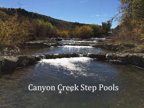 teton creek restoration project