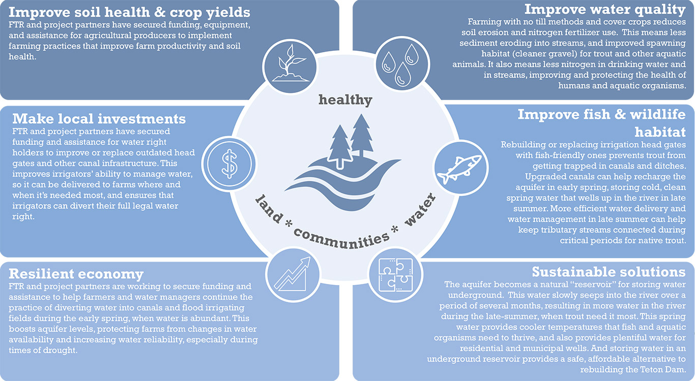 FarmsFish_Infographic_crop Farms and Fish