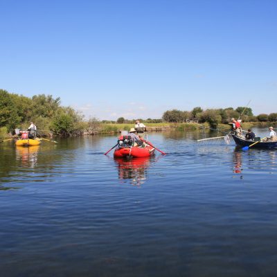 Teton River Gallery