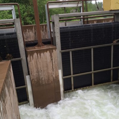 teton creek restoration project