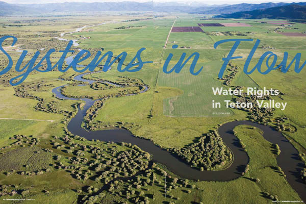 thumb-pdf-systems-in-flow-agricultural-producers