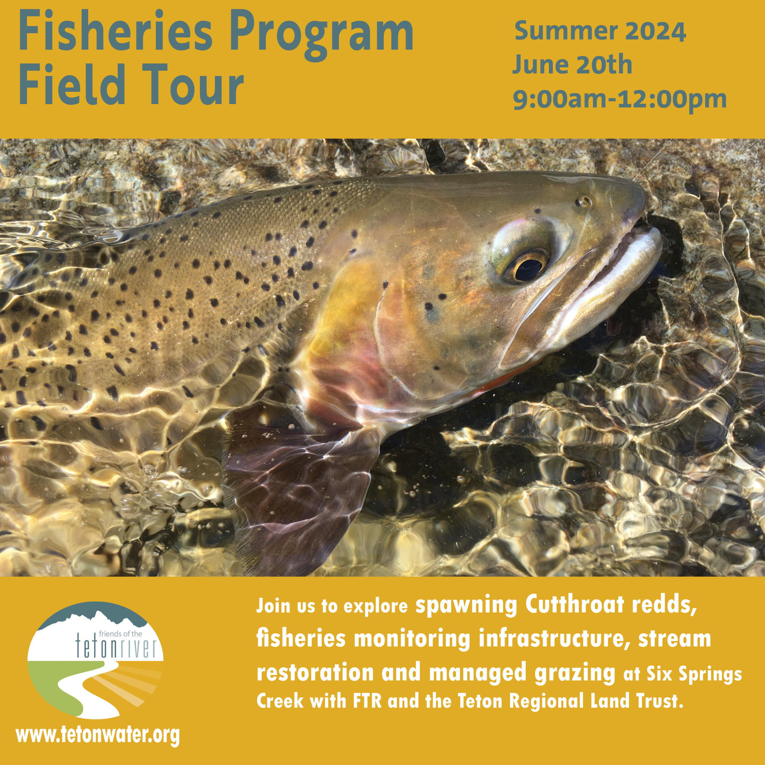 Fisheries Program Field Tour - Friends of the Teton River